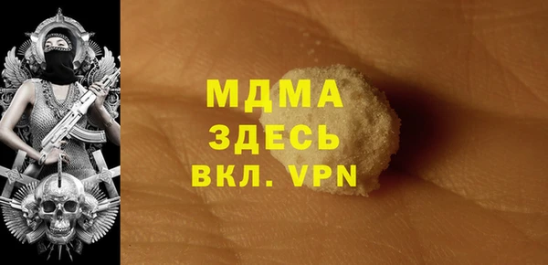 индика Верхний Тагил