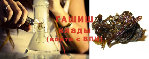 индика Верхний Тагил
