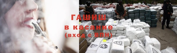 индика Верхний Тагил
