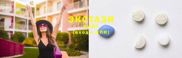 индика Верхний Тагил