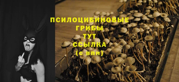 индика Верхний Тагил