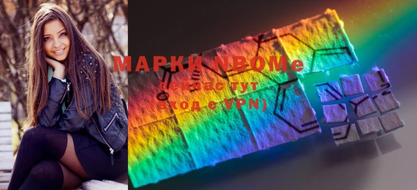 индика Верхний Тагил