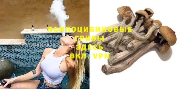 индика Верхний Тагил