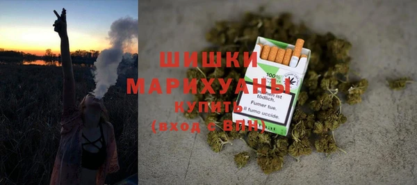 индика Верхний Тагил